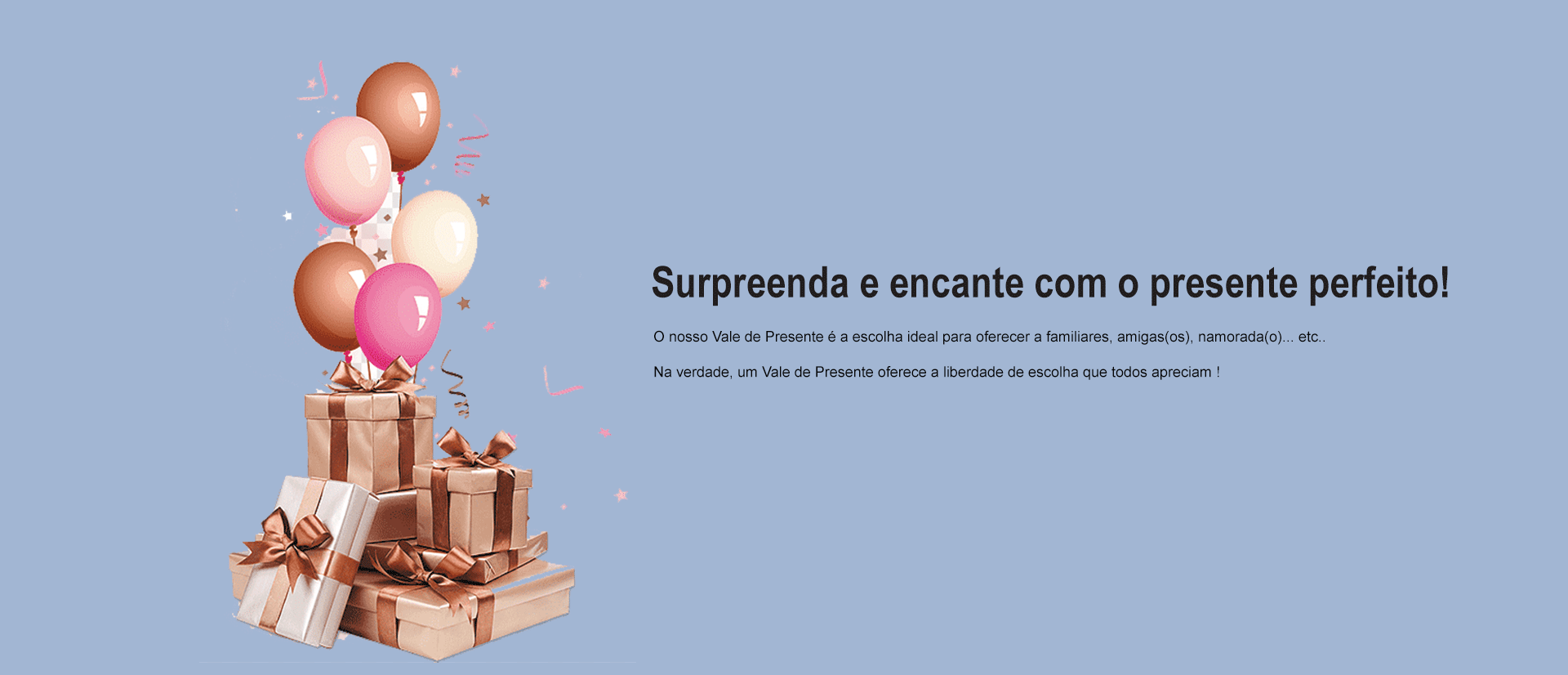 Banner Grande Rodapé